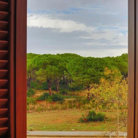 Precioso Apartamento A 700 M Del Mar Chiclana de la Frontera Eksteriør billede
