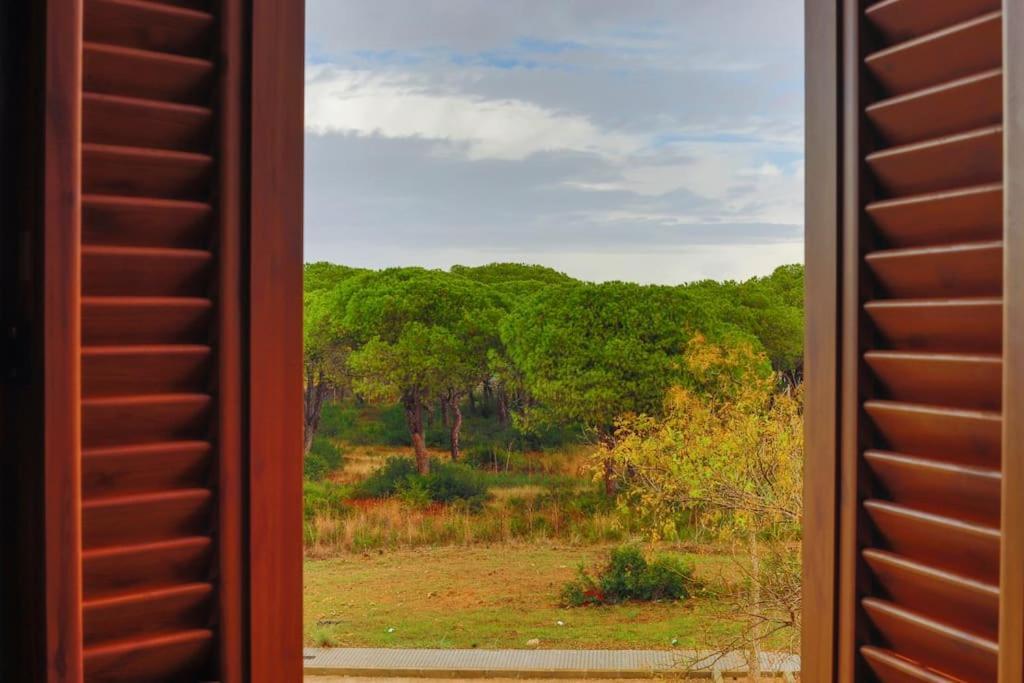 Precioso Apartamento A 700 M Del Mar Chiclana de la Frontera Eksteriør billede